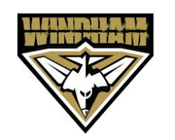 Windham High School mascot