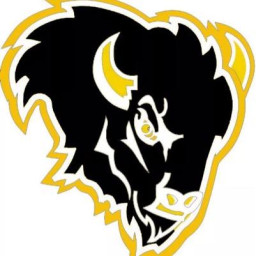 McAlester High School mascot