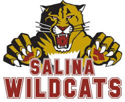 Salina High School mascot