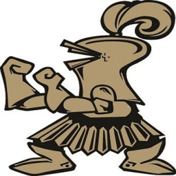 Delone Catholic High School mascot