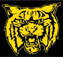 Dillon High School mascot