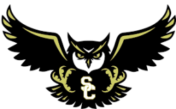 Smith County High School mascot