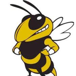 Fairview High School mascot