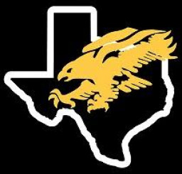 Goldthwaite High School mascot