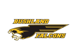 Bushland High School mascot