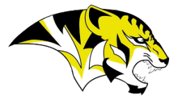 Brackett High School mascot