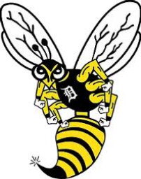 Denison High School mascot