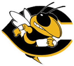 Coolidge High School mascot