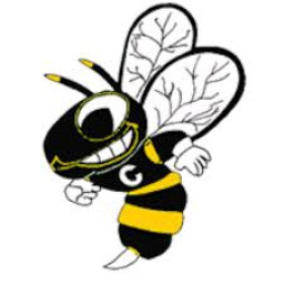 Cadott High School mascot