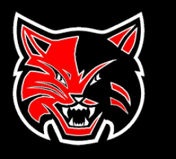 Hull Daisetta High School mascot