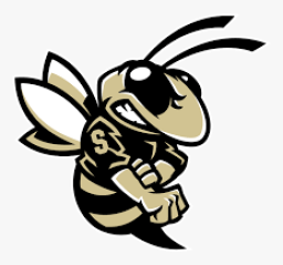 Sprayberry High School mascot