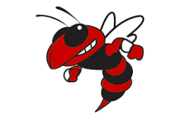 Beth Haven Christian School mascot