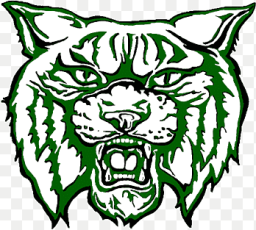 Warsaw High School R-9 mascot