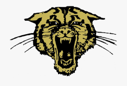 Trumann High School mascot