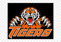 Hopkinsville High School mascot