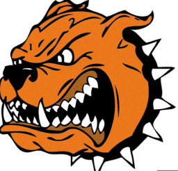 Elizabeth High School mascot