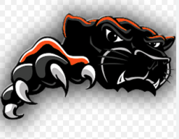 Pine Prairie High School mascot