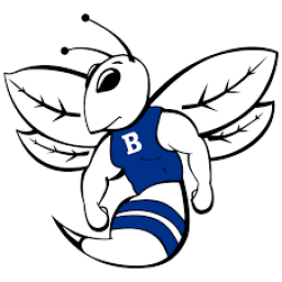 Bryant High School mascot