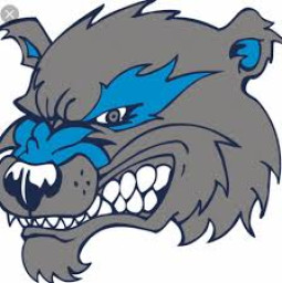 Oxford High School mascot