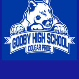 Amos P Godby High School mascot