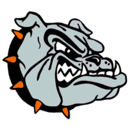 Wayne High School mascot