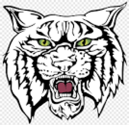 Boise City High School mascot