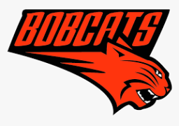 Blairsville High School mascot