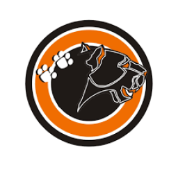 East Pennsboro Area High School mascot