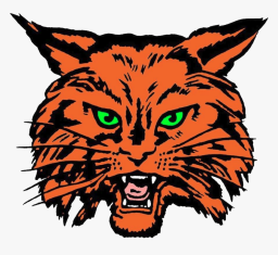 Beecher High School mascot