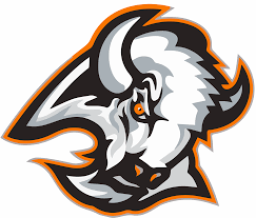 Valley High School mascot