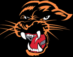 Marlborough High School mascot