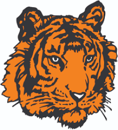 Black River Falls High School mascot