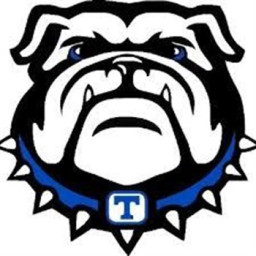 Trion High School mascot