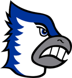 Bondurant Farrar High School mascot