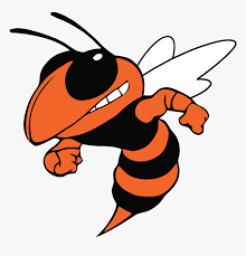 Beech Grove High School mascot