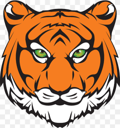 Princeton High School mascot