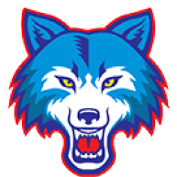 Andrew K Demoski School mascot