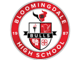 Bloomingdale Senior High School mascot