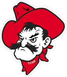 Cooper City High School mascot