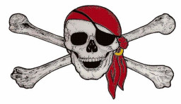 Port Charlotte High School mascot