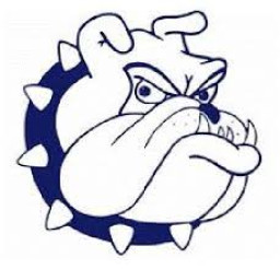 Galena High School mascot