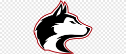 Washington High School mascot