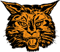 Los Gatos High School mascot