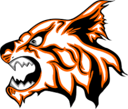 Branson High School mascot