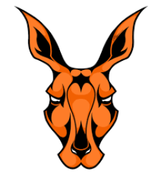 Terryville High School mascot