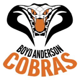 Boyd H Anderson High School mascot