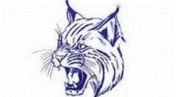 Gallatin County High School mascot