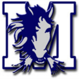 Medford High School mascot