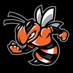 Leesburg High School mascot