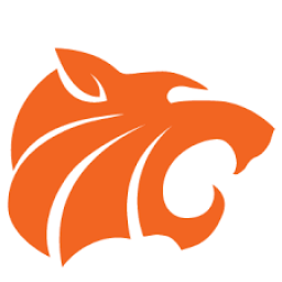 Carroll Community High School mascot